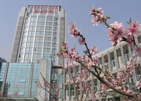 2023上海眼袋溶脂针整形美容医院前十榜单口碑机构名单！上海第一医院整形科在当地影响力大