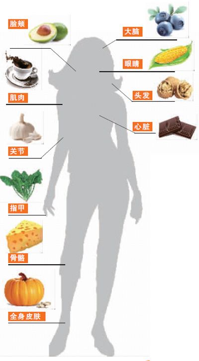 为什么这样的食物摄入很少卡路里？