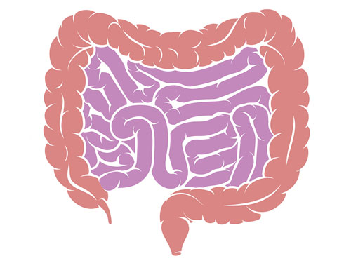 教你如何计算标准体重，告别赘肉，拥有理想身材