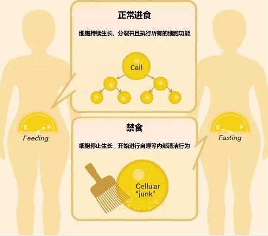 有效减肥方法解析：科学应对卵巢多囊问题